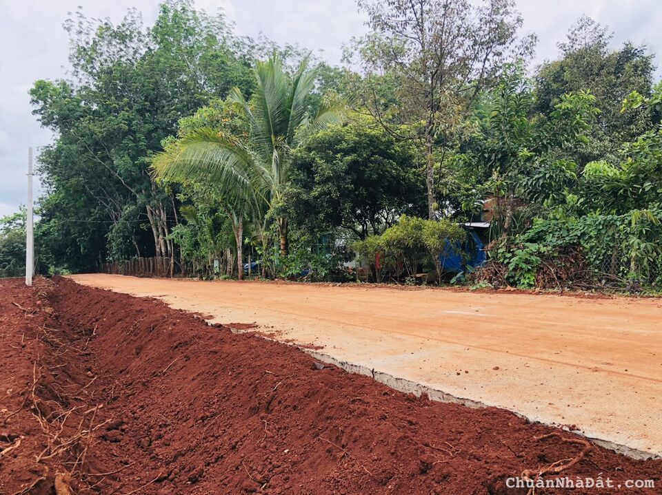 CẦN TIỀN GẤP BÁN NHANH LÔ 2.019M2 ĐẤT SHR NGAY CỤM KCN, CHỢ GIÁ 180TR