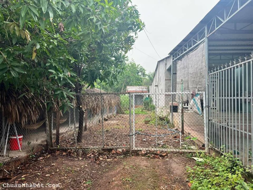 MẶT TIỀN QUỐC LỘ 14 NGAY TRUNG TÂM THỊ XÃ CHỢ TRƯỜNG TTTM TTHC NGAY KỀ BÊN GIÁ 2 TỎI