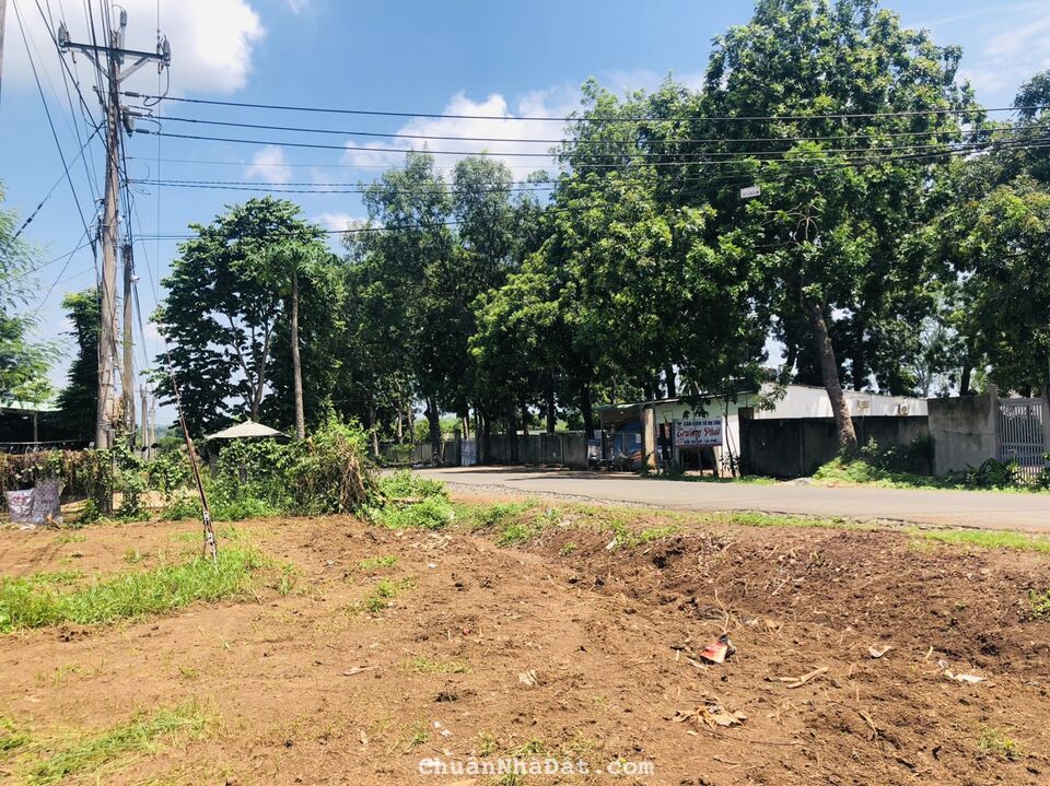 CẦN TIỀN BÁN GẤP LÔ ĐẤT 250M2 MẶT TIỀN ĐƯỜNG TỈNH LỘ 42M TIỆN XÂY TRỌ CÔNG NHÂN Ở 280 TR