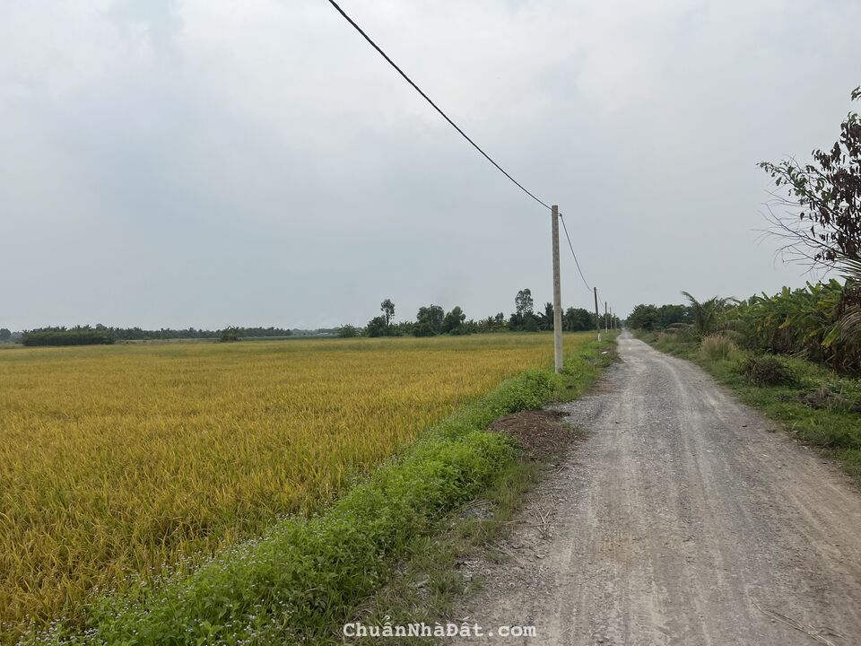 Bán đất đường Kênh 10, Lê Minh Xuân, Bình CHánh