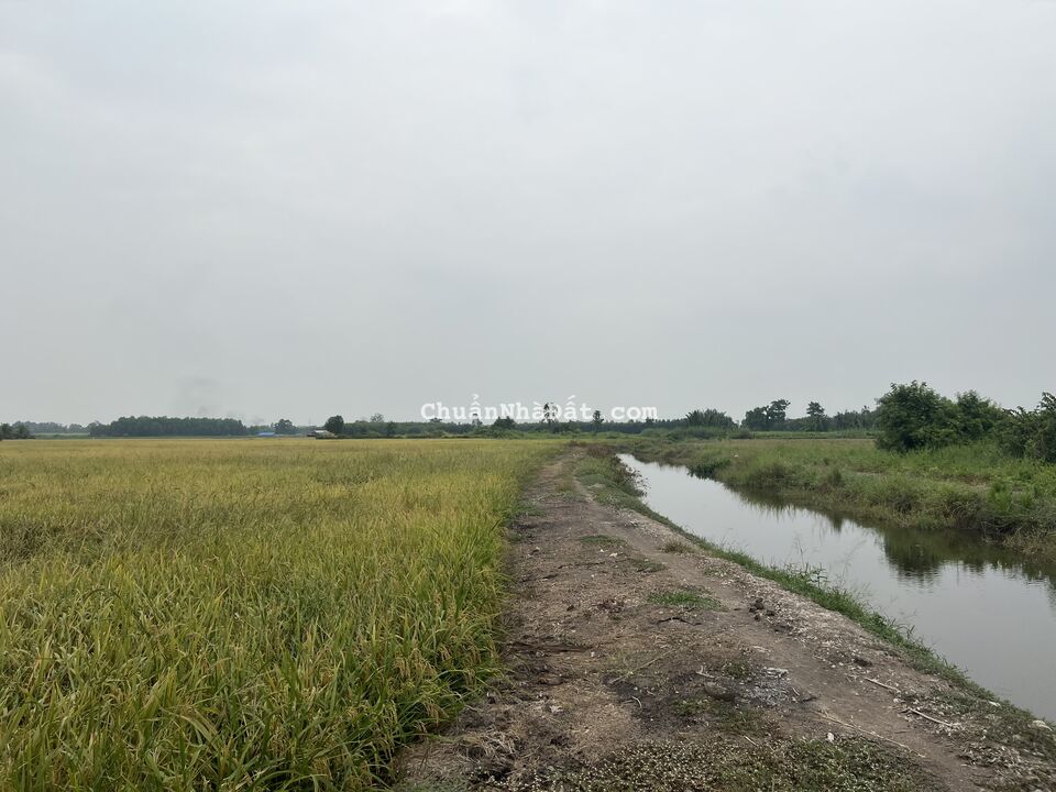 Bán đất đường Kênh 10, Lê Minh Xuân, Bình CHánh