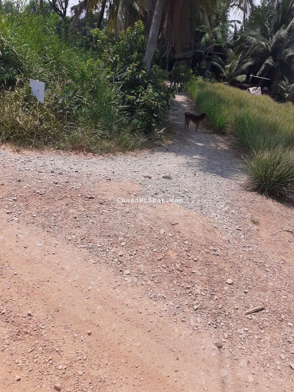 Bán đất vườn đường Kênh 10, Lê Minh Xuân, Bình Chánh