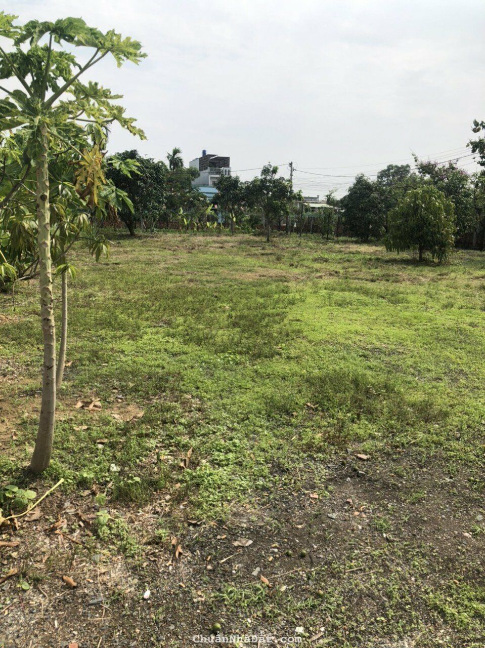 Bán đất thổ cư Đoàn Nguyễn Tuân, Bình CHánh Bán đất thổ cư Đoàn Nguyễn Tuân, Bình CHánh