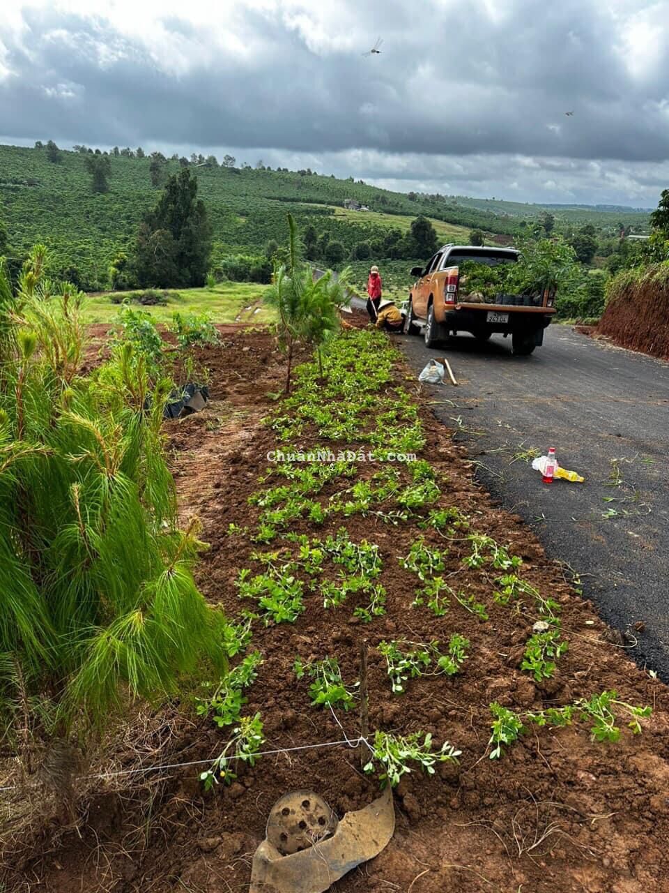 Bán gấp lô đất nền kề suối - 378 triệu 105m2 sẵn thổ cư - Đã có sổ công chứng ngay