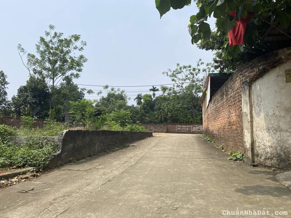 Bán đất Phú Cát, Quốc Oai 200m khu công nghệ cao Hòa Lạc Bán đất Phú Cát, Quốc Oai 200m khu công nghệ cao Hòa Lạc