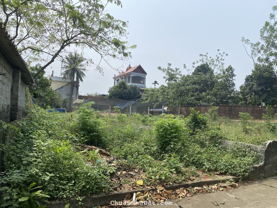 Bán đất Phú Cát, Quốc Oai 200m khu công nghệ cao Hòa Lạc Bán đất Phú Cát, Quốc Oai 200m khu công nghệ cao Hòa Lạc