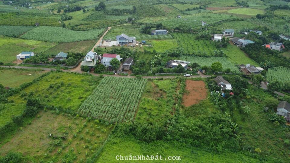 Bán đất Cao Phong, Hòa Bình hơn 1000m² full thổ cư, mặt đường nhựa, ô tô tránh nhau. Bán đất Cao Phong, Hòa Bình hơn 1000m² full thổ cư, mặt đường nhựa, ô tô tránh nhau.