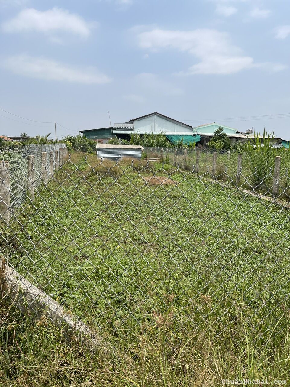 Đất thổ cư Châu Thành Long An, 173.9m2 sẵn sổ riêng, chỉ 468 triệu. Lh;0913923766