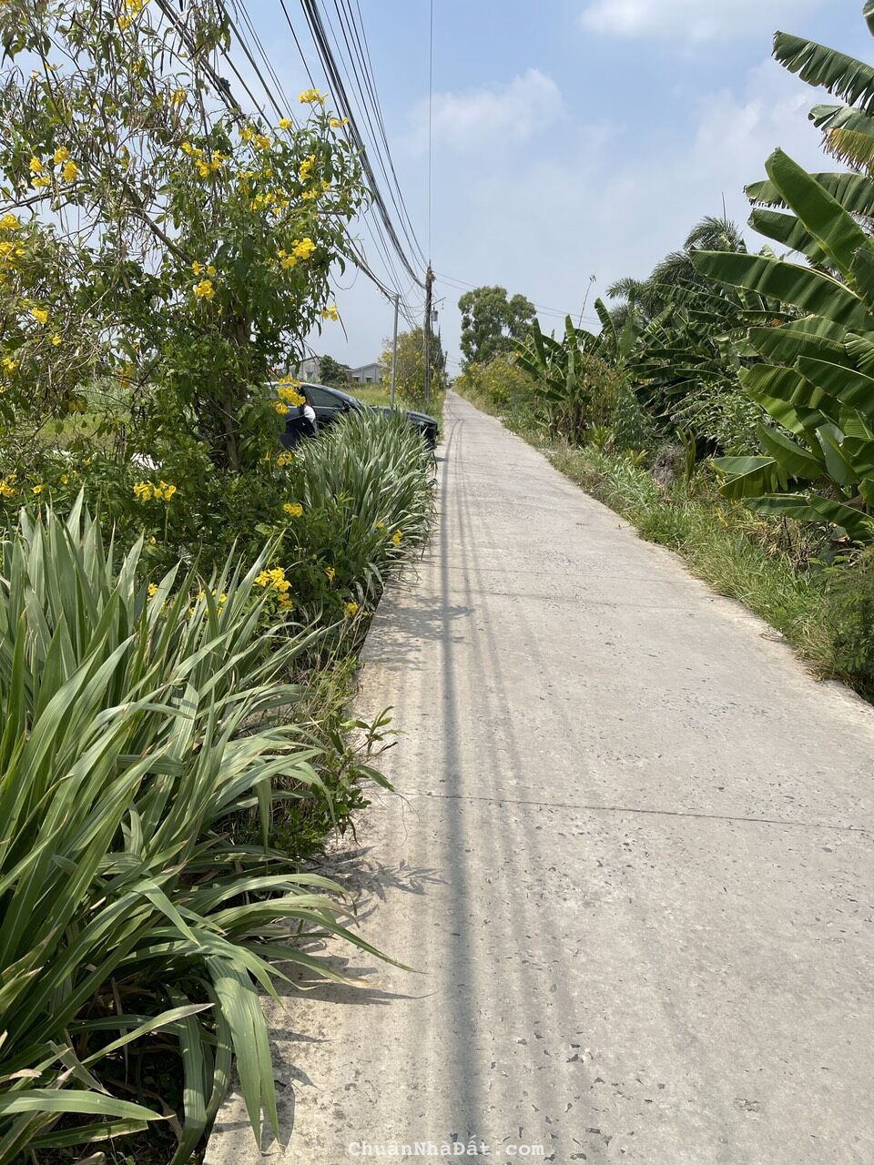 Chỉ 499tr sở hữu ngay 110m2 thổ cư vị trí cực đẹp tại Châu Thành Long An. Lh ngay 0913923766.