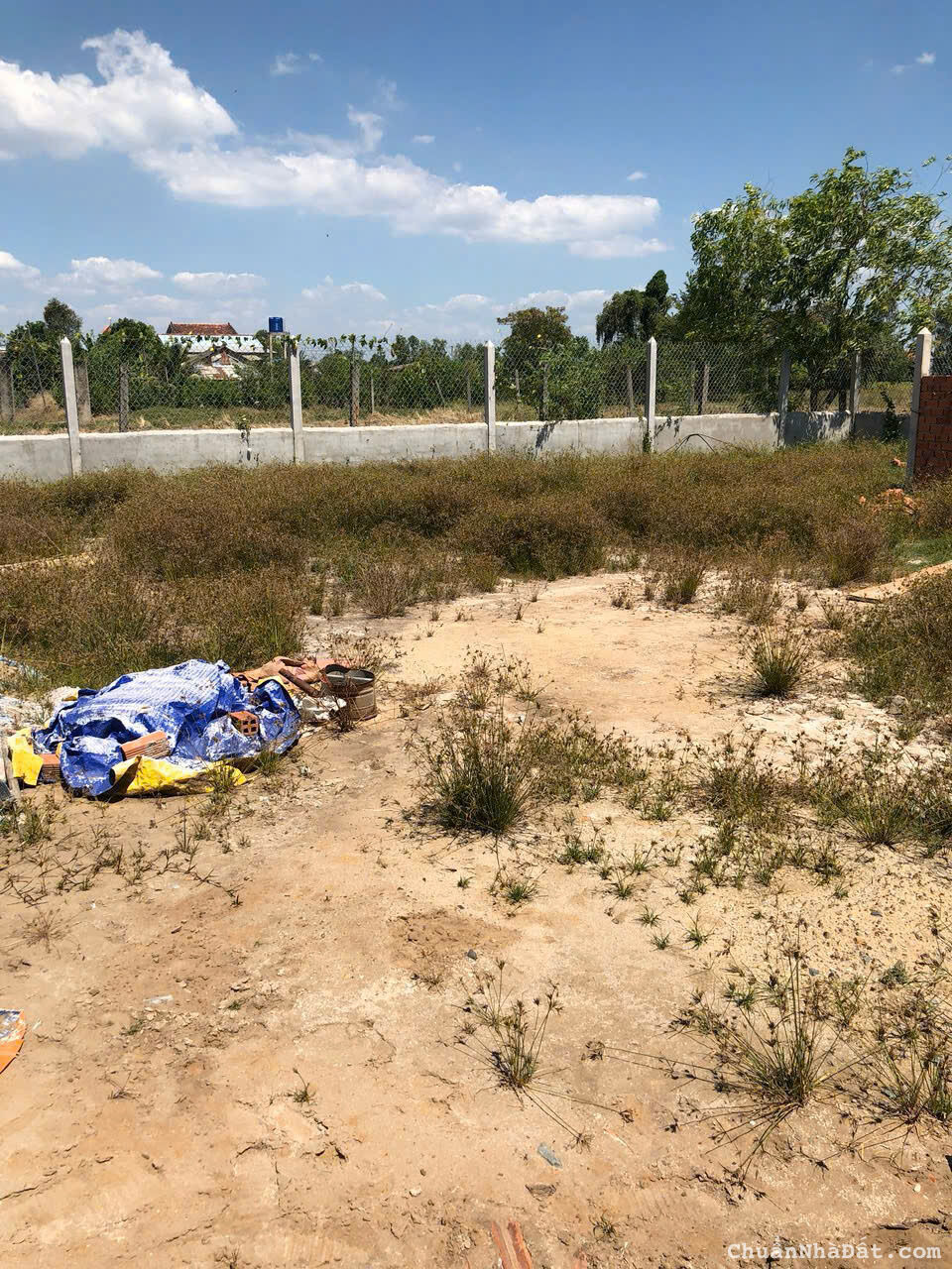 Bán 500m2 đất vườn tại Cần Giuộc Long An, SHR 1.25 tỷ. Lh: 0908679398 Bán 500m2 đất vườn tại Cần Giuộc Long An, SHR 1.25 tỷ. Lh: 0908679398