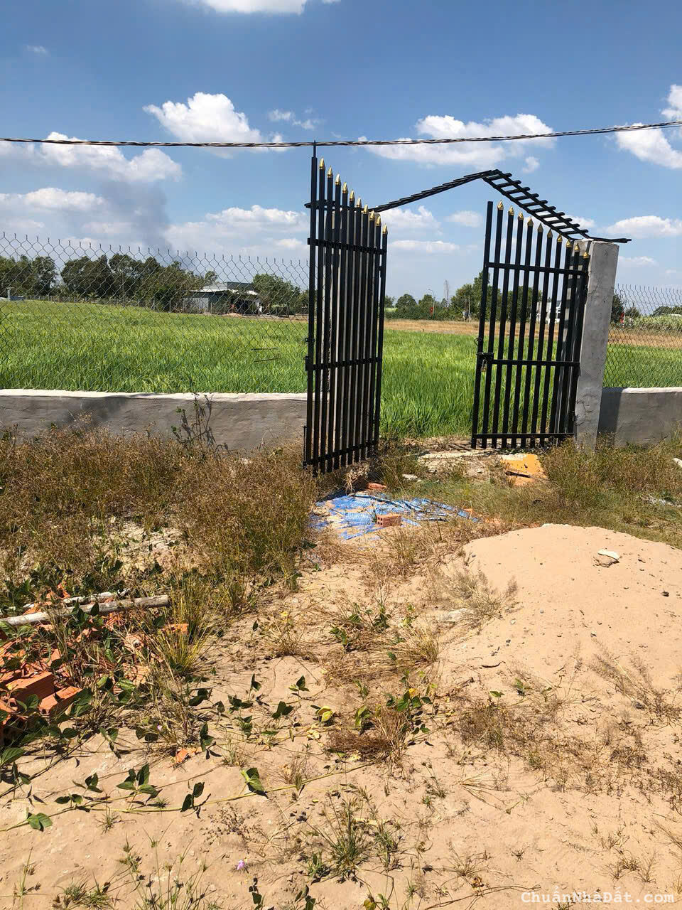 Bán 500m2 đất vườn tại Cần Giuộc Long An, SHR 1.25 tỷ. Lh: 0908679398 Bán 500m2 đất vườn tại Cần Giuộc Long An, SHR 1.25 tỷ. Lh: 0908679398