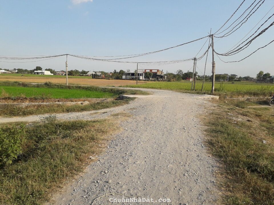 Bán đất vuông vức cực đẹp tại Trung Tâm Đức Hoà 1123m2 SHR 1.8 tỷ. Lh;0906857935