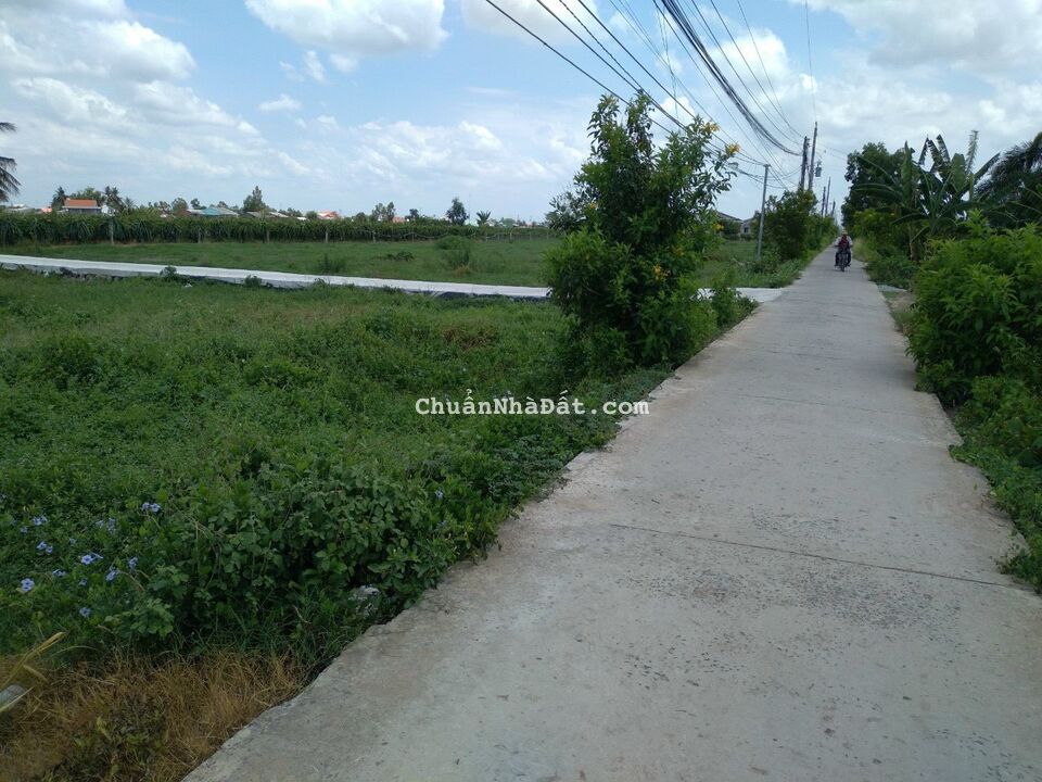 Chỉ 499tr sở hữu ngay 110m2 thổ cư vị trí cực đẹp tại Châu Thành Long An. Lh ngay 0913923766.