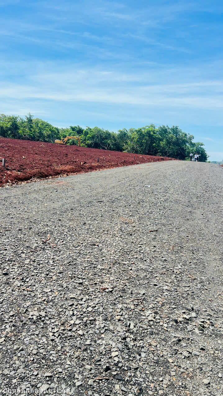 Đất dân giá ngộp cần ra nhanh ở xã Tân Hưng H.Đồng Phú 3000m2 SHR chỉ 450tr 1 sào. Lh:0396433952.