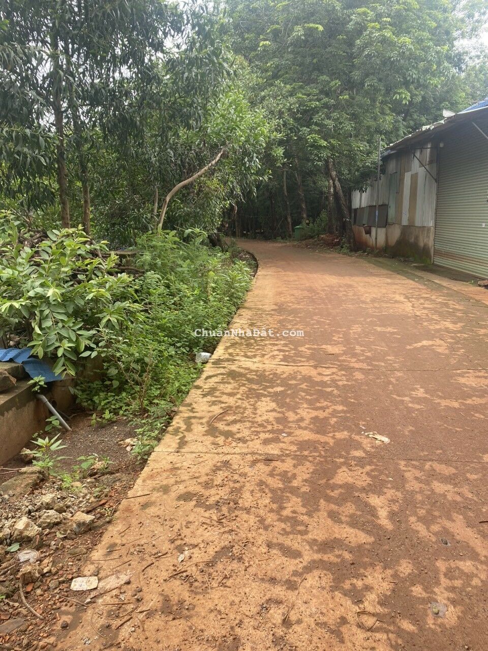 Bán đất tại thị xã Phước Long, sẵn SHR 400m2 (có 100m2 thổ cư) chỉ 1.85 tỷ. Lh:0902912542