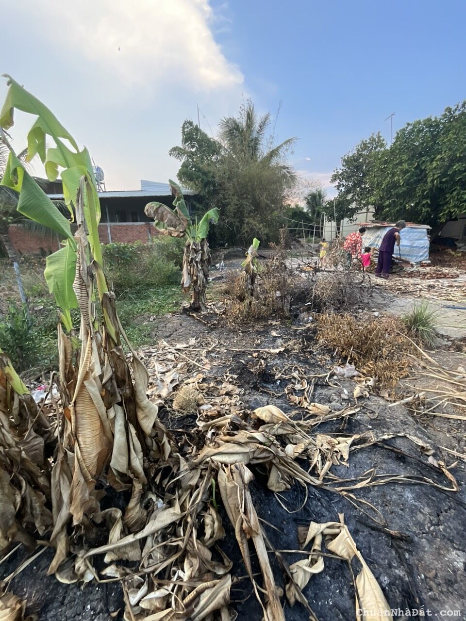 Bán đất tại Cần Giuộc, Long An SHR (chính chủ). 2.1 tỷ. 217m2. Lh:0938678475. Bán đất tại Cần Giuộc, Long An SHR (chính chủ). 2.1 tỷ. 217m2. Lh:0938678475.