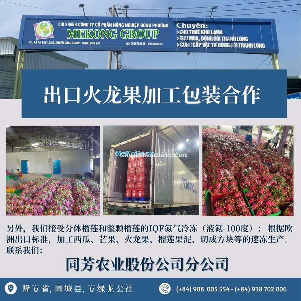 Cho thuê KHO tại Châu Thành – Long An 2200m2, MT đường lớn, giá 90tr/th. Lh:0908005554 – 0938702006 Cho thuê KHO tại Châu Thành – Long An 2200m2, MT đường lớn, giá 90tr/th. Lh:0908005554 – 0938702006