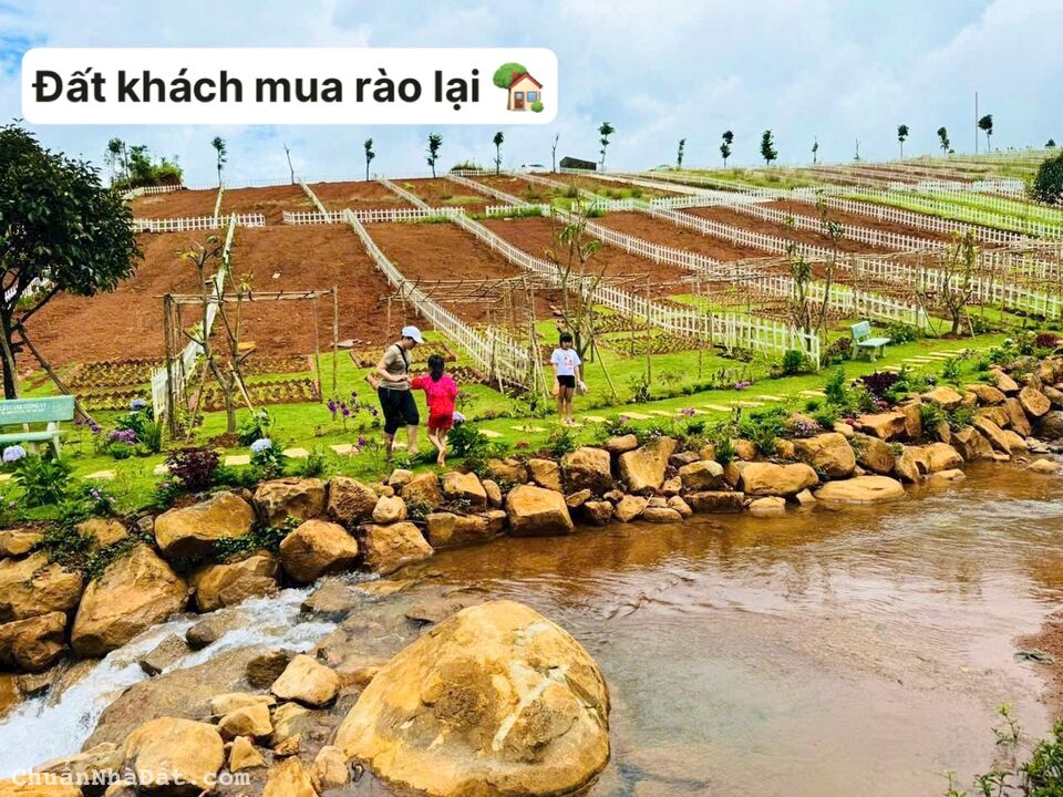 Đất dân giá ngộp cần ra nhanh ở xã Tân Hưng H.Đồng Phú 3000m2 SHR chỉ 450tr 1 sào. Lh:0396433952.