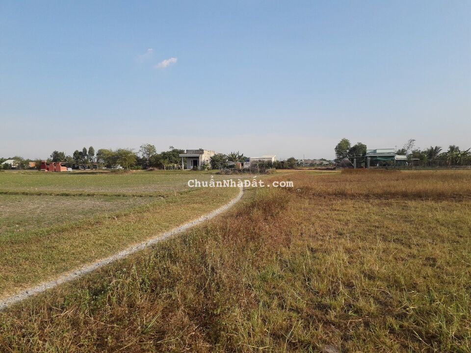 Bán đất vuông vức cực đẹp tại Trung Tâm Đức Hoà 1123m2 SHR 1.8 tỷ. Lh;0906857935