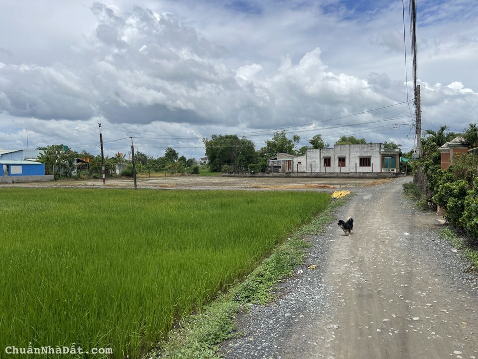 BÁN ĐẤT THỔ CƯ XÃ PHƯỚC ĐÔNG,CẦN ĐƯỚC,LONG AN BÁN ĐẤT THỔ CƯ XÃ PHƯỚC ĐÔNG,CẦN ĐƯỚC,LONG AN