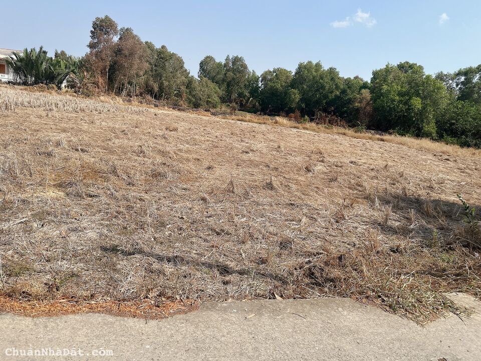 Đất xây nhà vườn 1041,3mv-Nguyễn Thị Cần -Tân Trụ- Long An