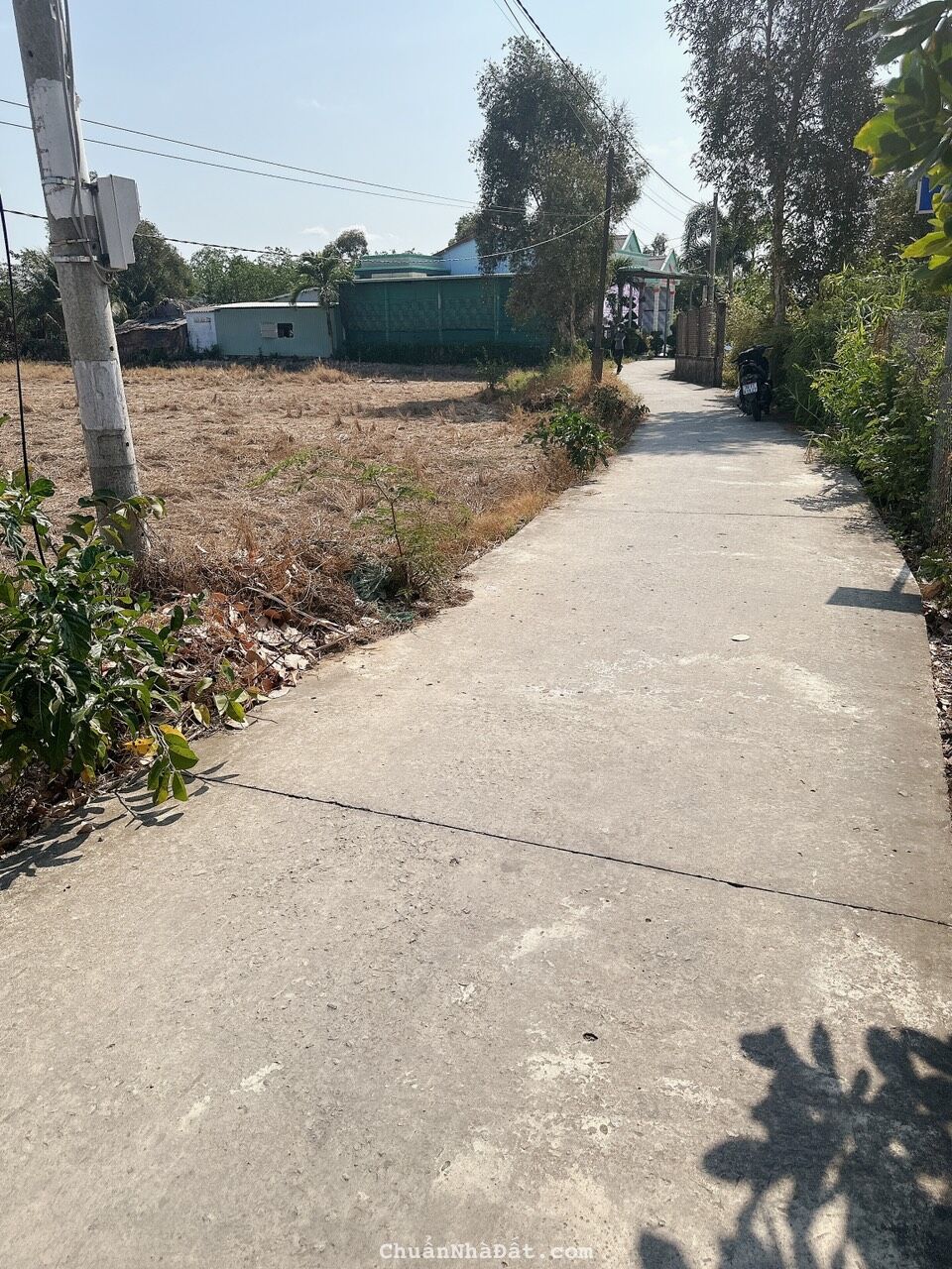 Đất xây nhà vườn 1041,3mv-Nguyễn Thị Cần -Tân Trụ- Long An