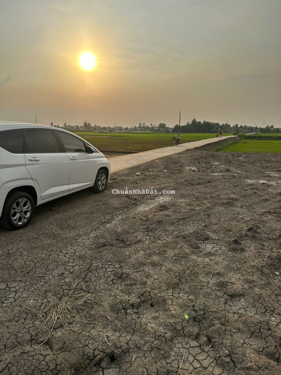 Chính chủ cần bán đất thổ cư SHR Ấp3. Lạc Tấn. Tân Trụ. Long An 