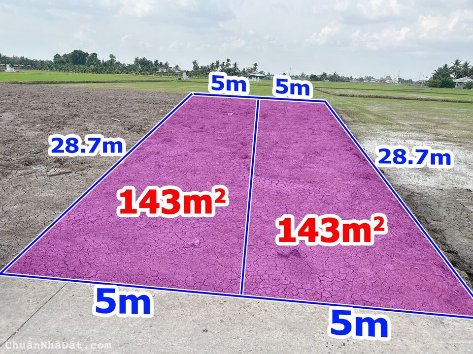 Chính chủ cần bán đất thổ cư SHR Ấp3. Lạc Tấn. Tân Trụ. Long An 