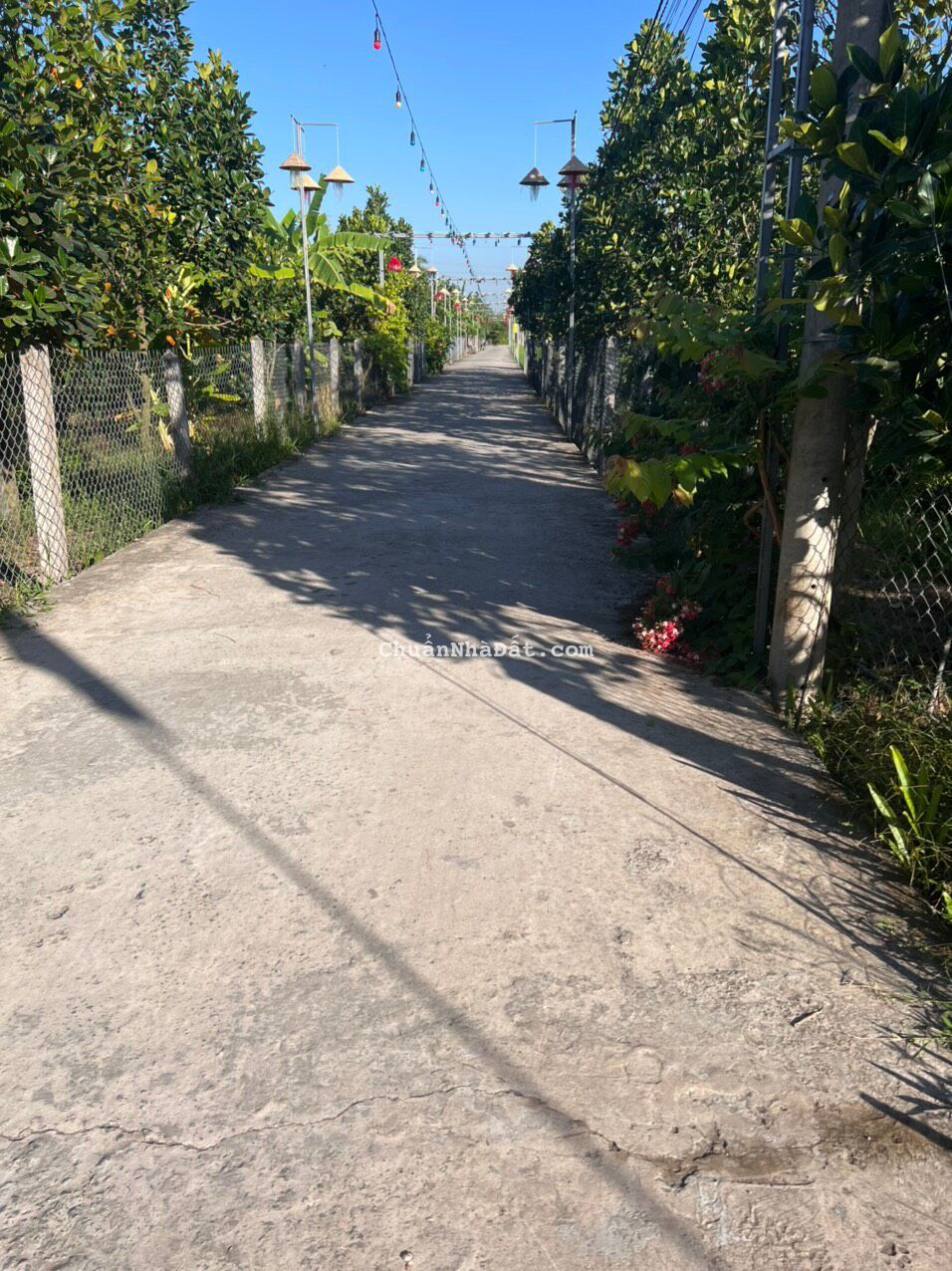 Đất rẻ chỉ 290tr toàn nền - Xã Bình Lãng, Tân Trụ, Long An