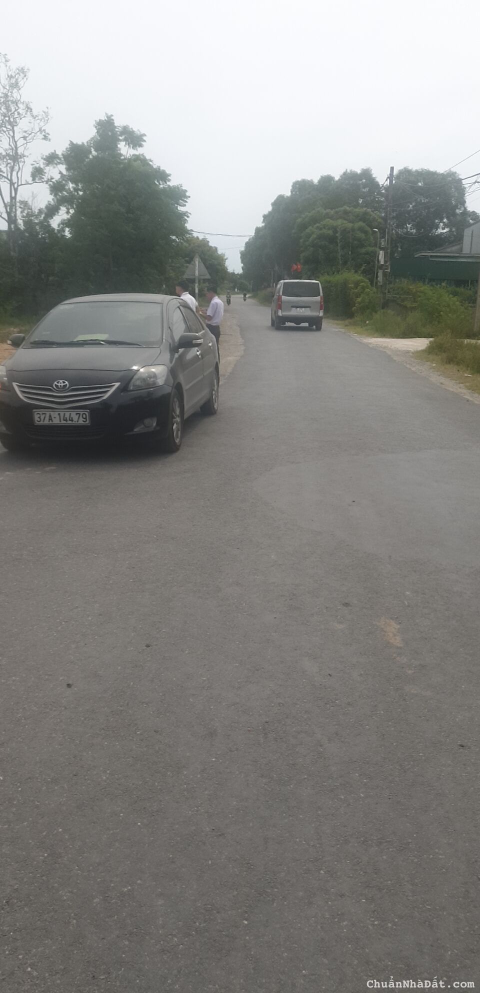 Đất  rẻ  nghi xuân 