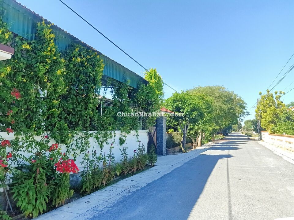 Bán đất nghi phong NGHI lộc nghệ an Bán đất nghi phong NGHI lộc nghệ an