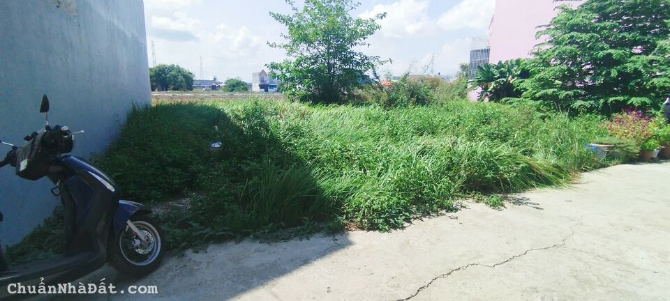 BÁn Đât Thổ SHR, đường Ô Tô, 72m2, Tân Kim, Cần Giuộc.