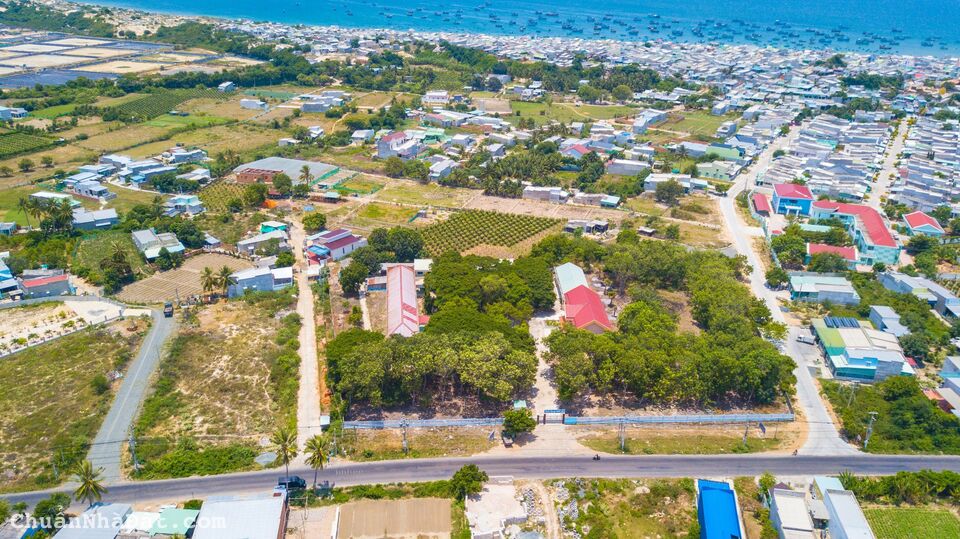 Cần bán nhanh lô đất biệt thự vườn ven biển mặt tiền đường 221m