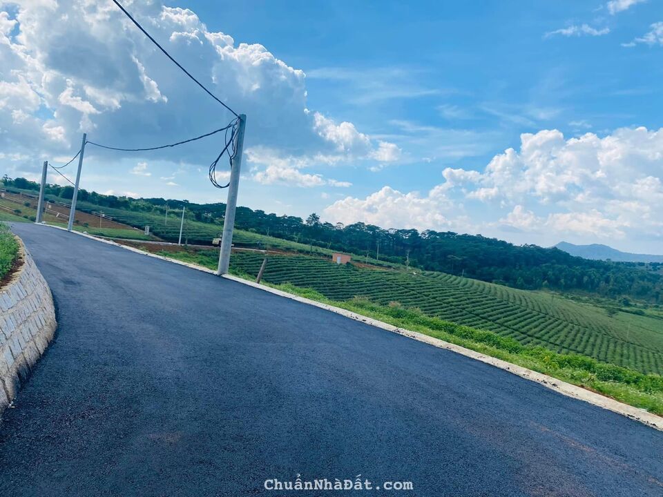 BÁN ĐẤT TRUNG TÂM BẢO LỘC - SIÊU PHẨM VIEW HỒ GIÁ CHỈ TỪ 6tr/m2