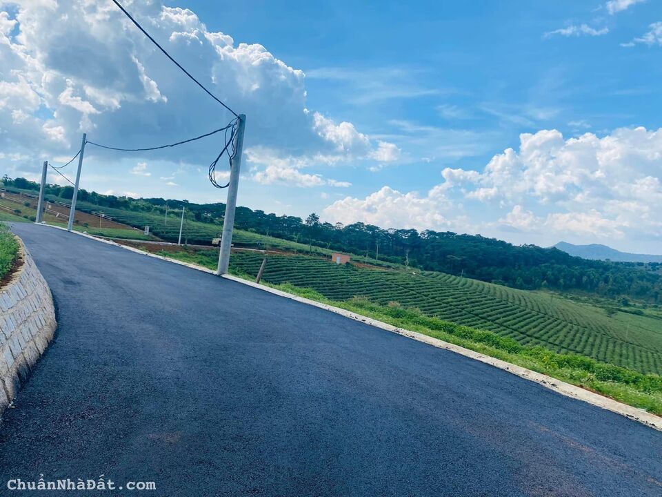 🏡 SỞ HỮU NGAY SIÊU PHẨM BẤT ĐỘNG SẢN NGHỈ DƯỠNG TẠI BẢO LỘC LÂM ĐỒNG CHỈ TỪ 6tr/m2 🏞