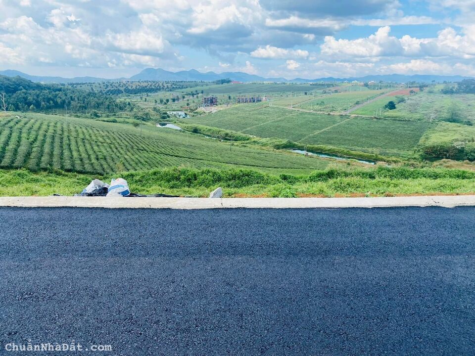 BÁN ĐẤT TRUNG TÂM BẢO LỘC - SIÊU PHẨM VIEW HỒ GIÁ CHỈ TỪ 6tr/m2