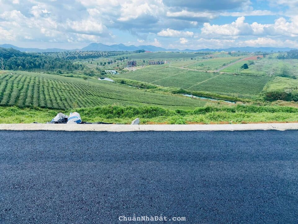 🏡 SỞ HỮU NGAY SIÊU PHẨM BẤT ĐỘNG SẢN NGHỈ DƯỠNG TẠI BẢO LỘC LÂM ĐỒNG CHỈ TỪ 6tr/m2 🏞