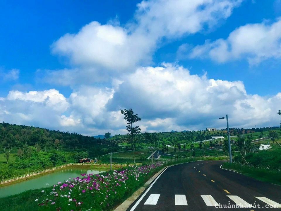 BÁN ĐẤT TRUNG TÂM BẢO LỘC - SIÊU PHẨM VIEW HỒ GIÁ CHỈ TỪ 6tr/m2