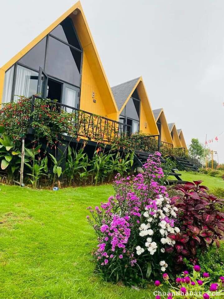 BĐS nghĩ dưỡng 7*25*100 View HỒ rộng lớn, đầy đủ tiện ích, khu camping 4tr/m2