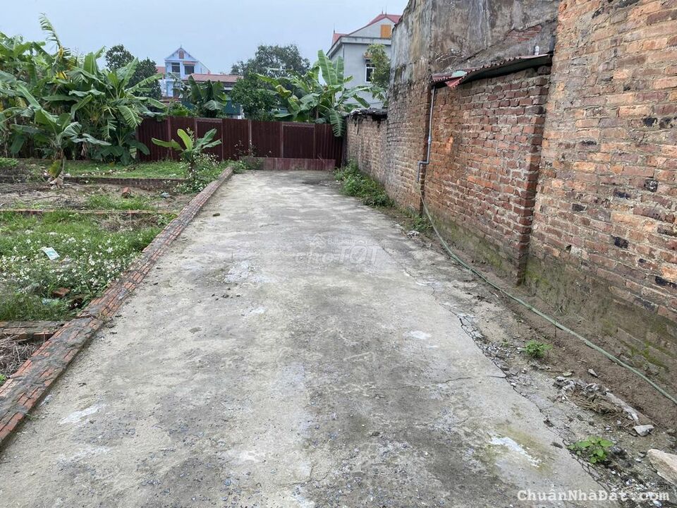 Bán Đất 50m2 Thôn Bắc Thượng, Quang Tiến, Sóc Sơn. Chỉ 850tr, Cạnh Kcn Nôi Bài Bán Đất 50m2 Thôn Bắc Thượng, Quang Tiến, Sóc Sơn. Chỉ 850tr, Cạnh Kcn Nôi Bài