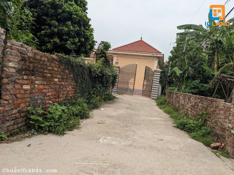 Bán Gấp 75m Phú Hạ- Minh Phú- Sóc Sơn. Oto Ngủ Trong Đất, Giá Rẻ Chỉ 1 Tỷ.