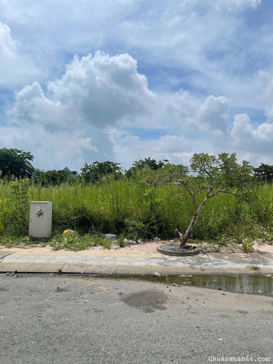 Chính chủ cần bán lô đất 5x20 khu vực Long An full thổ cách Ql50 100m SHR xây dựng tự do 