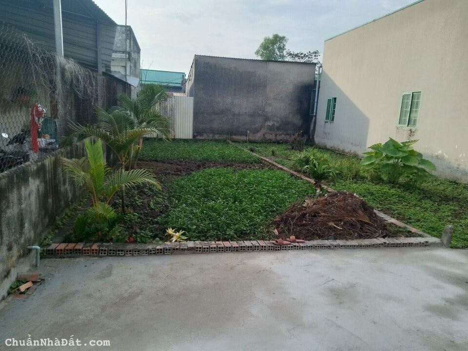 Chính chủ cần bán lô đất 5x20 khu vực Long An full thổ SHR xây dựng tự do 