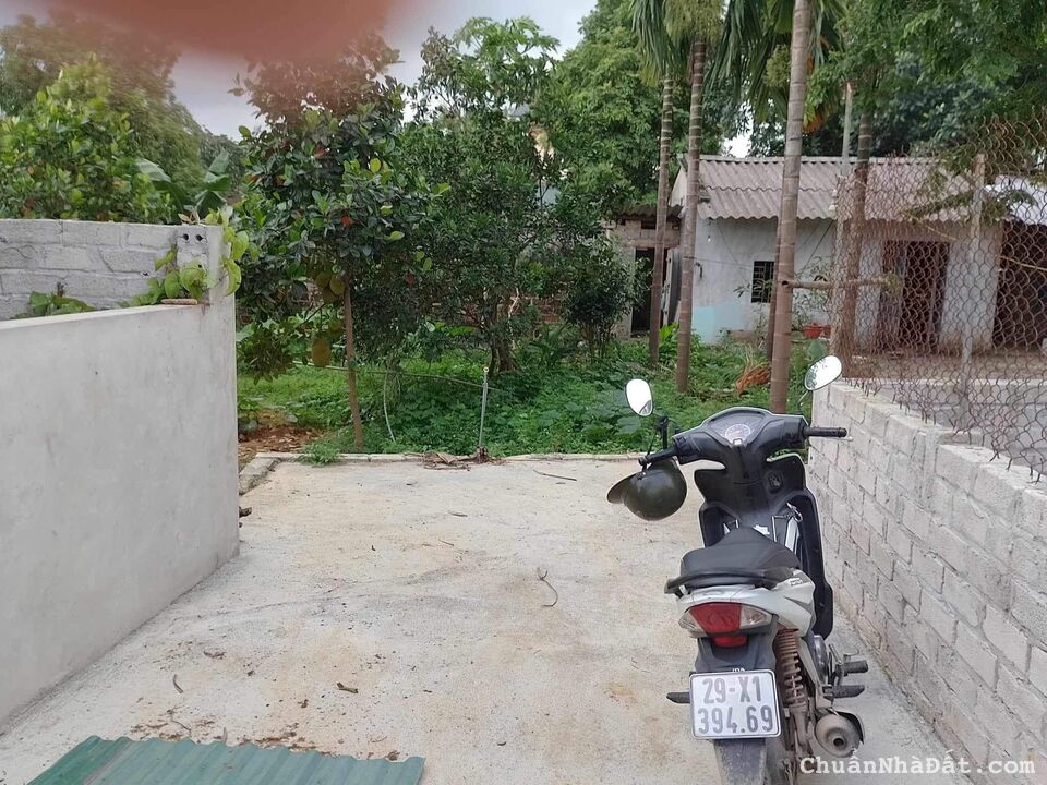 Cho Thuê Nhà Vườn Chương Mỹ Diện tích hơn 500m