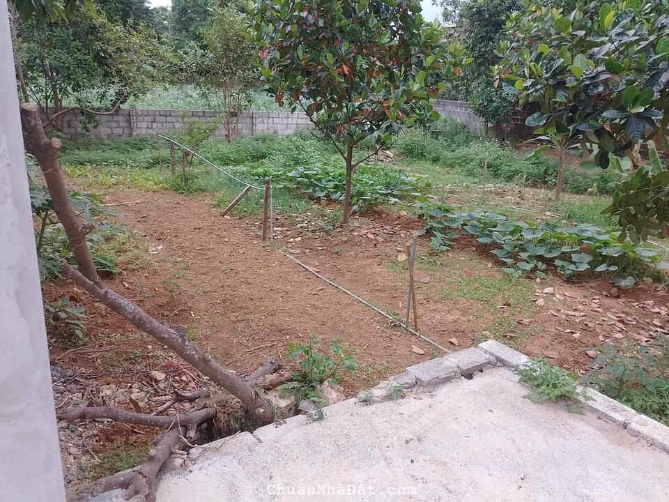 Cho Thuê Nhà Vườn Chương Mỹ Diện tích hơn 500m