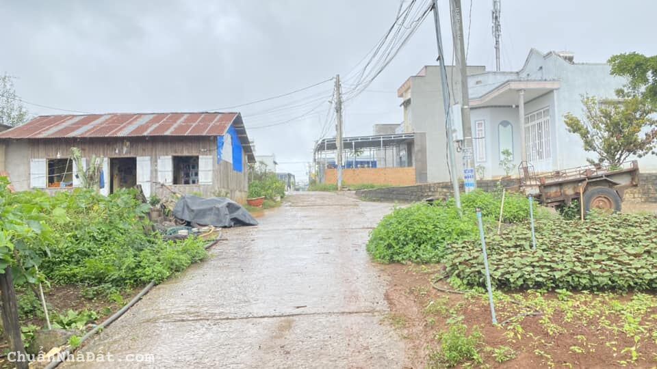 Bán nhà c4 hẻm oto lê hồng phong khu trung tâm đức trọng Bán nhà c4 hẻm oto lê hồng phong khu trung tâm đức trọng