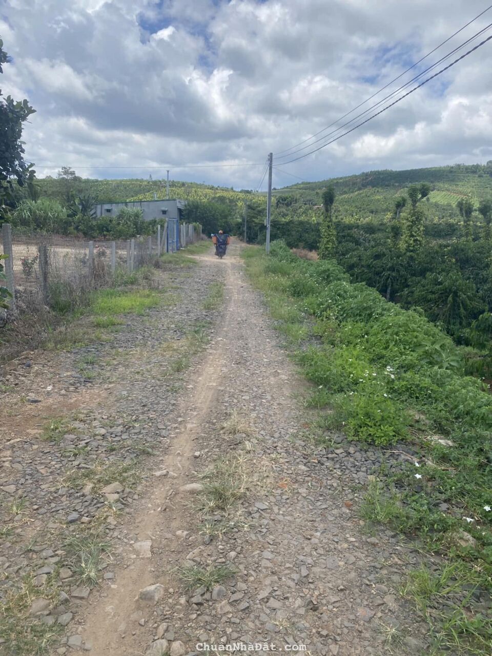 1 ha đất hẻm khu kinh tế mới, ninh gia đức trọng, Lâm Đồng 1 ha đất hẻm khu kinh tế mới, ninh gia đức trọng, Lâm Đồng