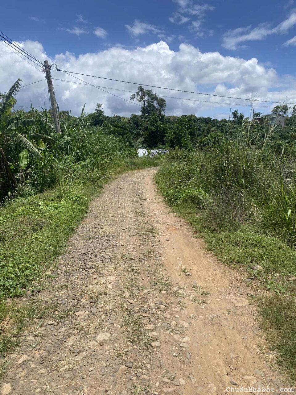 1 ha đất hẻm khu kinh tế mới, ninh gia đức trọng, Lâm Đồng 1 ha đất hẻm khu kinh tế mới, ninh gia đức trọng, Lâm Đồng