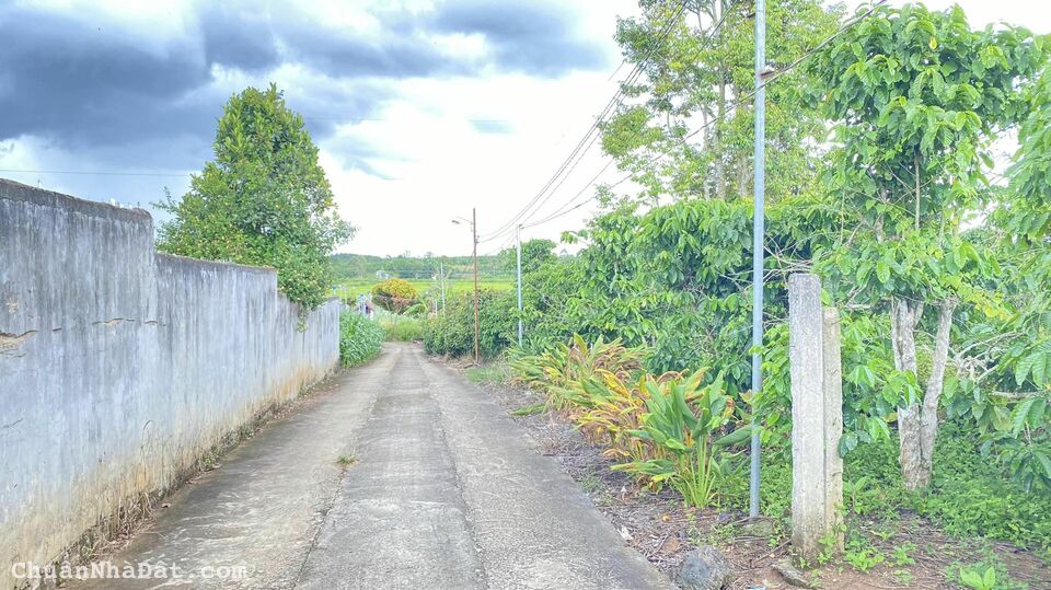 Đất hẻm ql20, phú an, phú hội đức trọng 1 lô duy nhất giá tốt nhất thị trường...