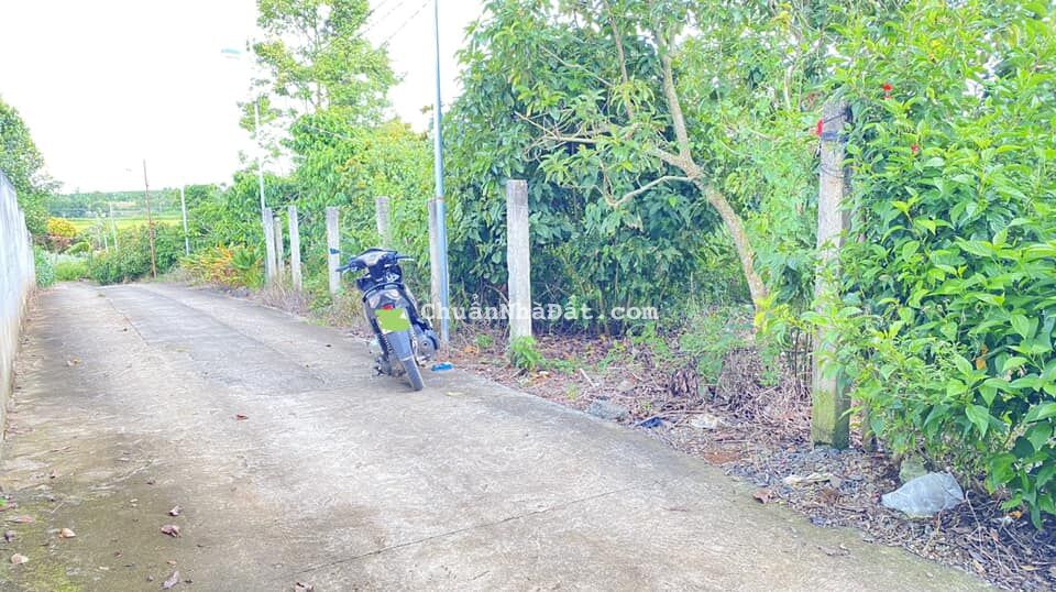 Đất hẻm ql20, phú an, phú hội đức trọng 1 lô duy nhất giá tốt nhất thị trường...